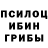 Галлюциногенные грибы мицелий DSGD ASGSS
