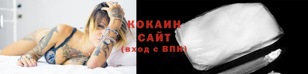 сатива Баксан