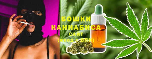 сатива Баксан
